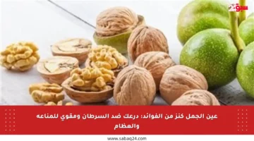 عين الجمل كنز من الفوائد: درعك ضد السرطان ومقوي للمناعة والعظام